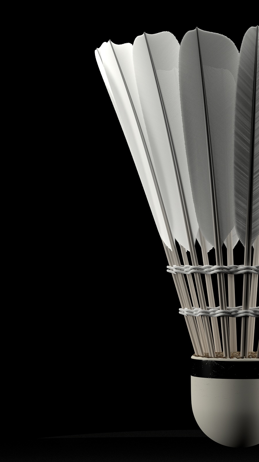 界刮目相看 界刮目相看